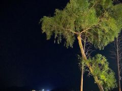 -城墙外BAR