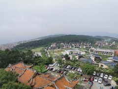 -铁山坪森林公园