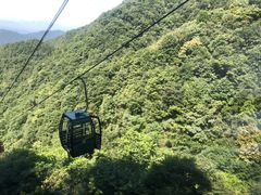 -王顺山国家森林公园