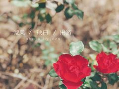 -函谷关历史文化旅游区