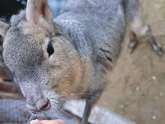 -呀路古热带植物园