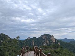 -大岭沟猕猴桃谷风景区