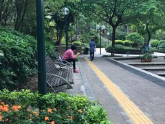 -九龙公园