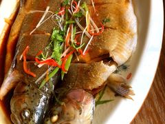 清蒸虹鳟鱼-卧龙堡客栈·中餐厅(古北水镇店)