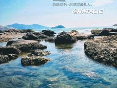 -盐洲岛