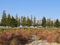 -嘉北郊野公园