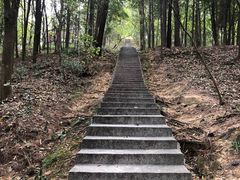 -分塔山省级森林公园