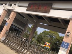 -上海都市菜园