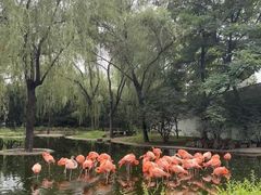 -辛玛王国游乐园