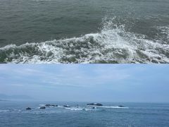 -小麦岛公园