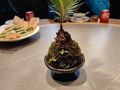 -头上红煨盐鸡乡村食府