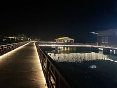 -泗洪洪泽湖湿地景区