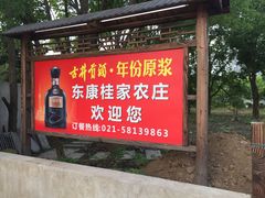门面-东康桂家农庄