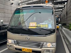 -上海星河湾双语学校