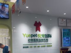 -悦宠动物医院(京丰分院)