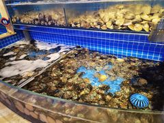 水产区-乔哥铭洋海鲜自助(皇城恒隆广场店)