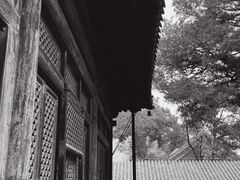 -大觉寺-停车场