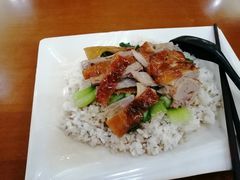 -上海海洋大学(临港校区)
