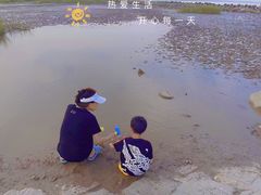 -南汇嘴观海公园