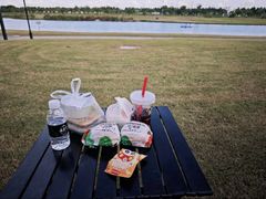 -春花秋色城市公园