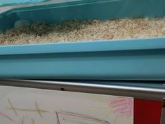 -勤牛到家·家有好阿姨(联洋店)