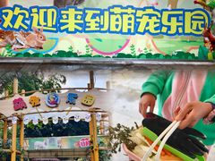 -南湖梦幻岛