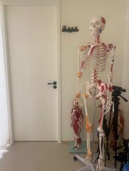 -康舒普拉提工作室control pilates