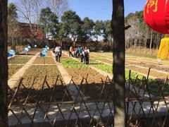 -安徽禾泉小镇
