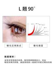 -丽尔美睫