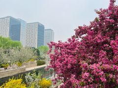 -元大都城垣遗址公园