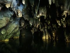-怀托摩萤火虫洞