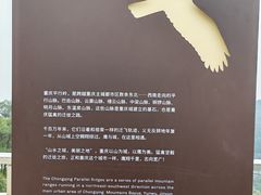 -大金鹰园