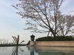 -苏州湾王焰温泉度假酒店