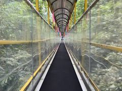 -七仙岭温泉国家森林公园