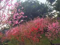 iphone_upload_pic-乌山风景区