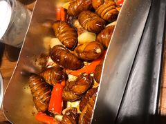 -那些年记忆烧烤