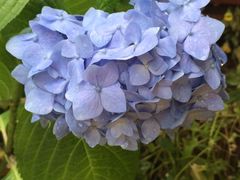 -伊斯坦布尔土耳其清真咖啡餐厅