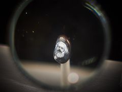 -信不信由你博物馆