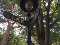 -三鹰之森吉卜力美术馆