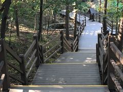 -沂蒙山旅游区云蒙景区(蒙山国家森林公园)