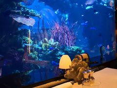 -迪拜帆船酒店海底餐厅