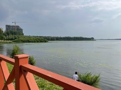 -丁香湖公园