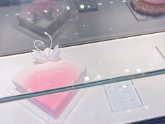 -BLACKSWAN黑天鹅(环球店)