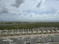 -南汇嘴观海公园