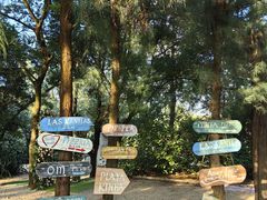 -玫瑰海岸文化旅游度假区