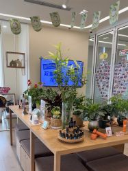 -dōTERRA多特瑞精油生活馆