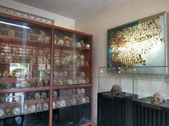 -吐斯廉屠杀博物馆