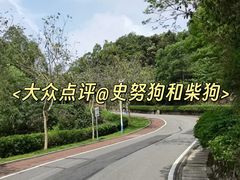 -火炉山森林公园