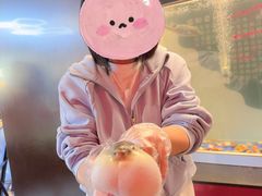 -肆月河豚·新淮扬菜·烤鸭(中关村店)