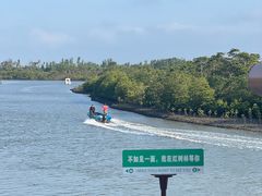 -东寨港红树林旅游区